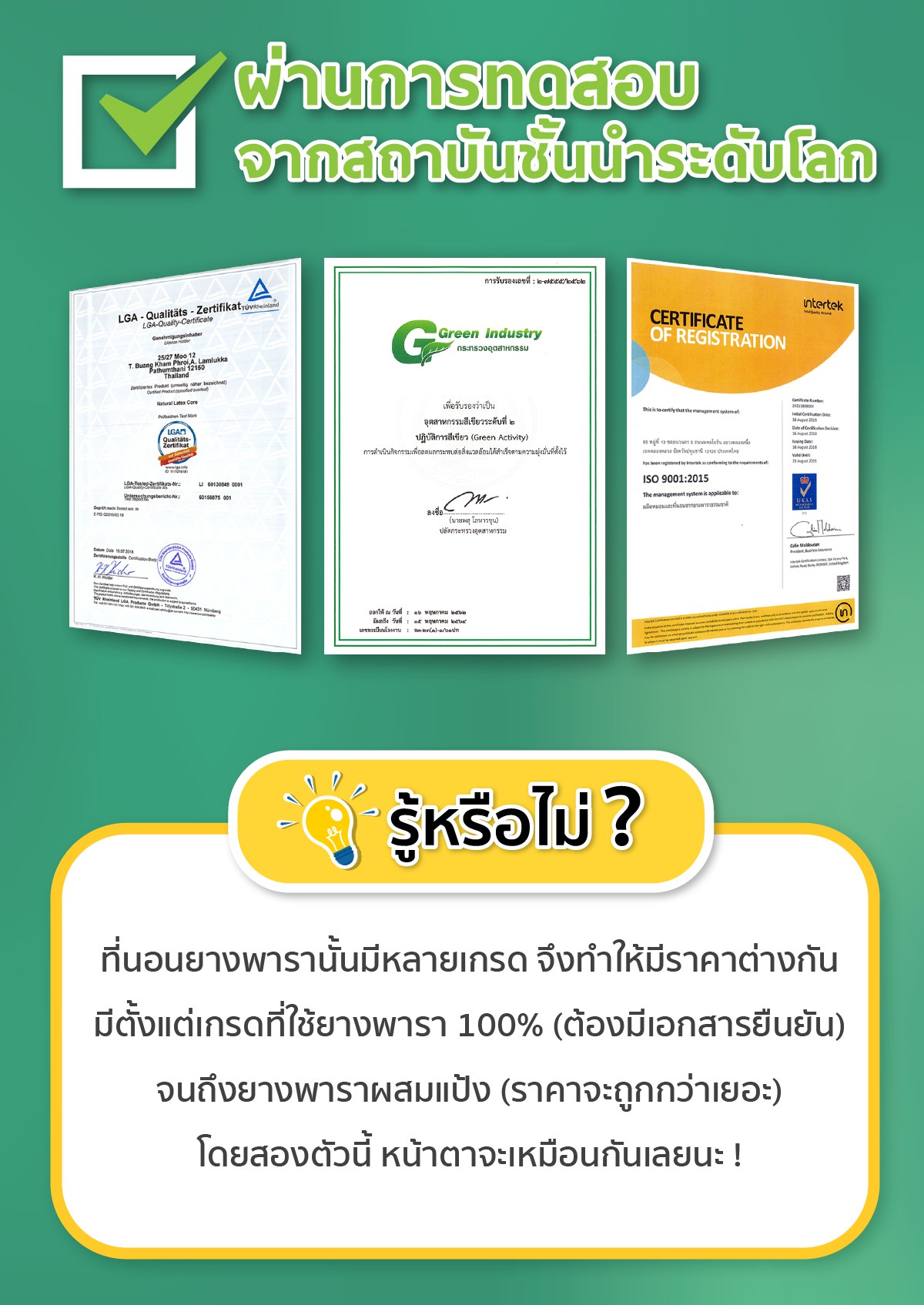 ที่นอนยางพารา-ที่นอนยางพาราแท้-topper ยางพารา-ที่นอนยางพารา 6 ฟุต-ที่นอนยางพารา 5 ฟุต-ที่นอนยางพารา 3.5 ฟุต-ราคา ที่นอน ยางพารา