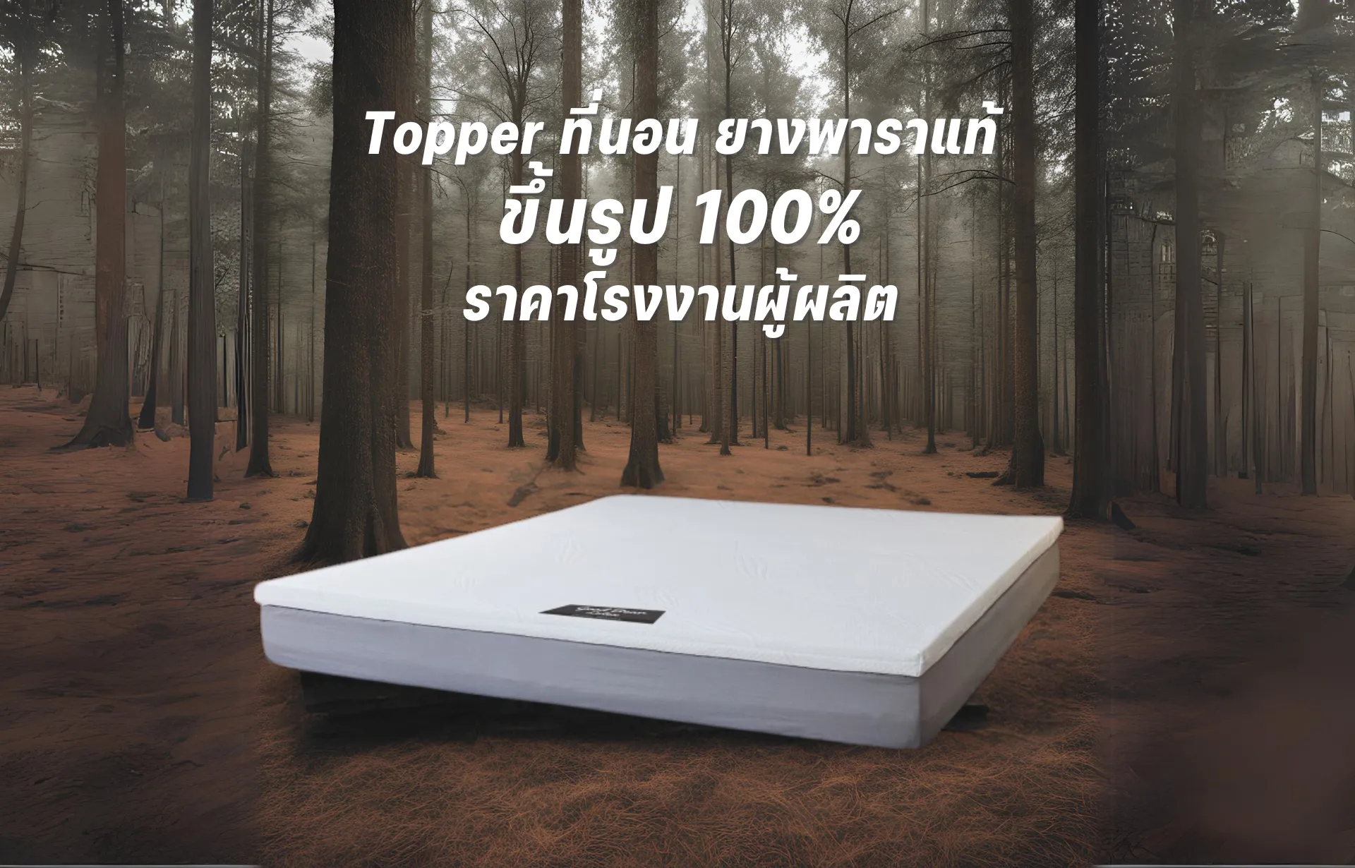 ที่นอนยางพารา-ที่นอนยางพาราแท้-topper ยางพารา-ที่นอนยางพารา 6 ฟุต-ที่นอนยางพารา 5 ฟุต-ที่นอนยางพารา 3.5 ฟุต-ราคา ที่นอน ยางพารา