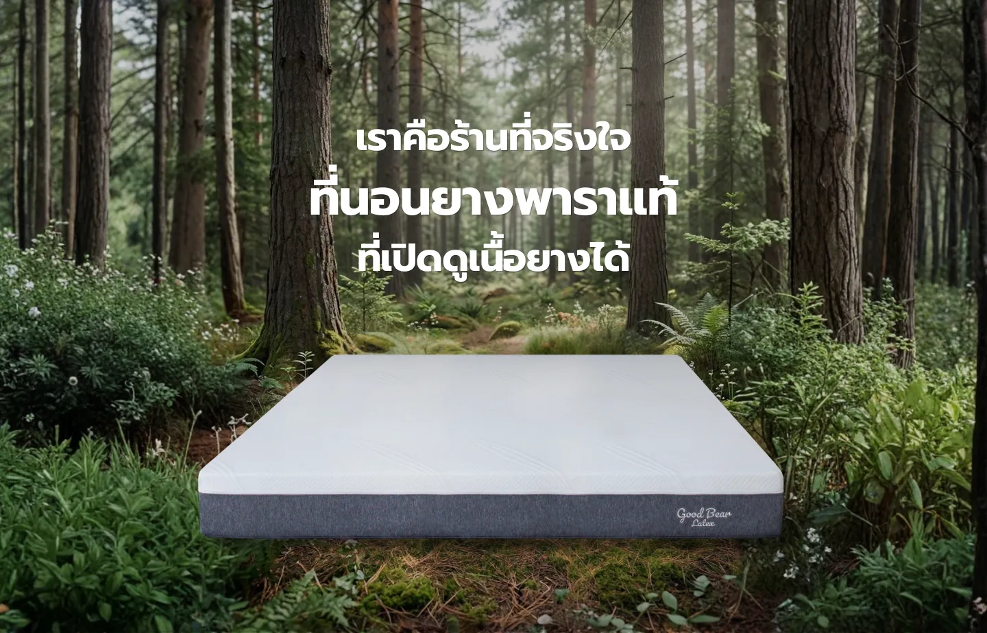 ที่นอนยางพาราแท้ Good Bear