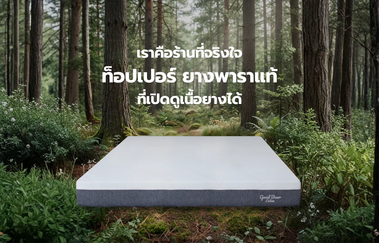 ที่นอนยางพาราแท้ Good Bear