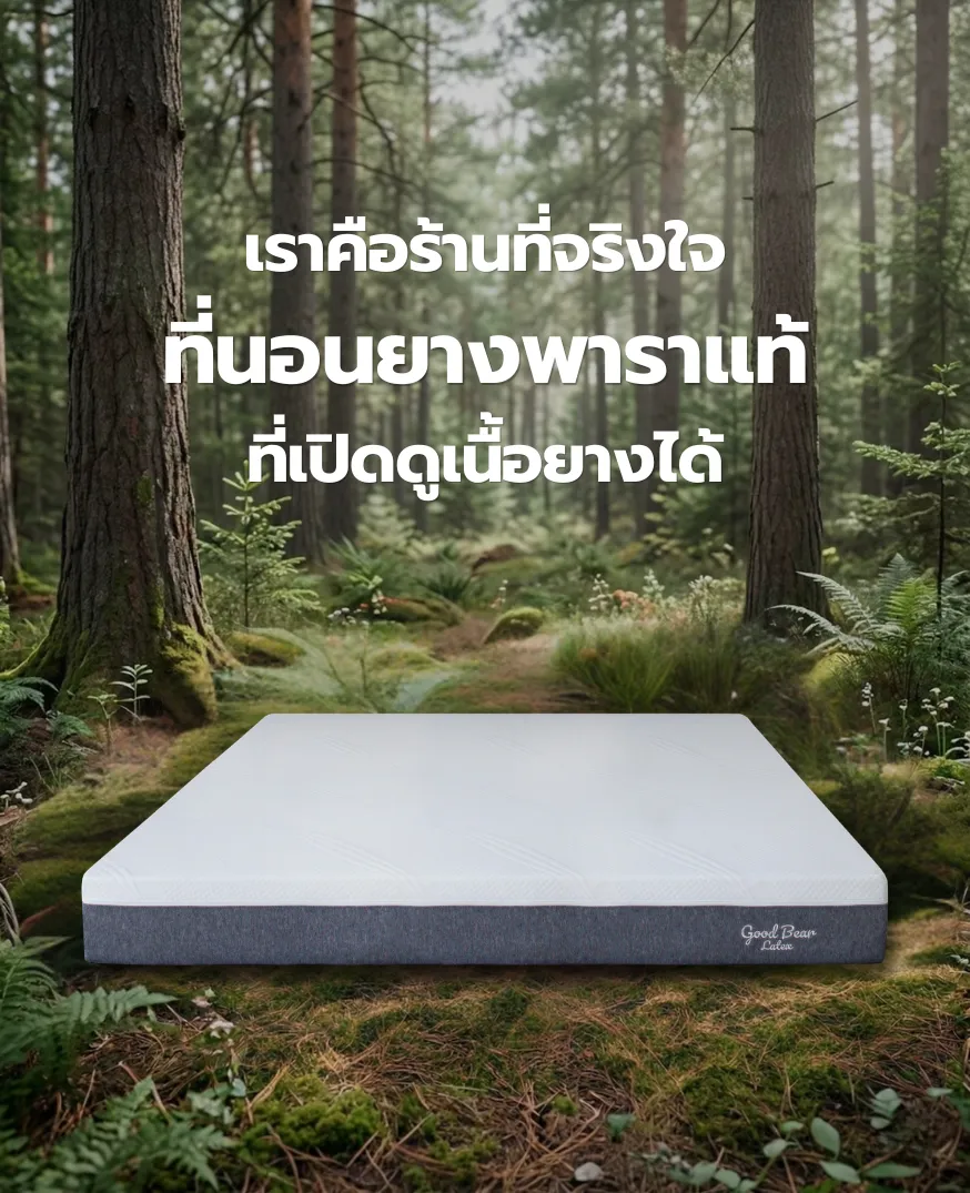 ที่นอนยางพาราแท้ Good Bear