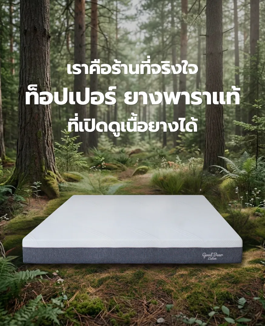 ที่นอนยางพาราแท้ Good Bear