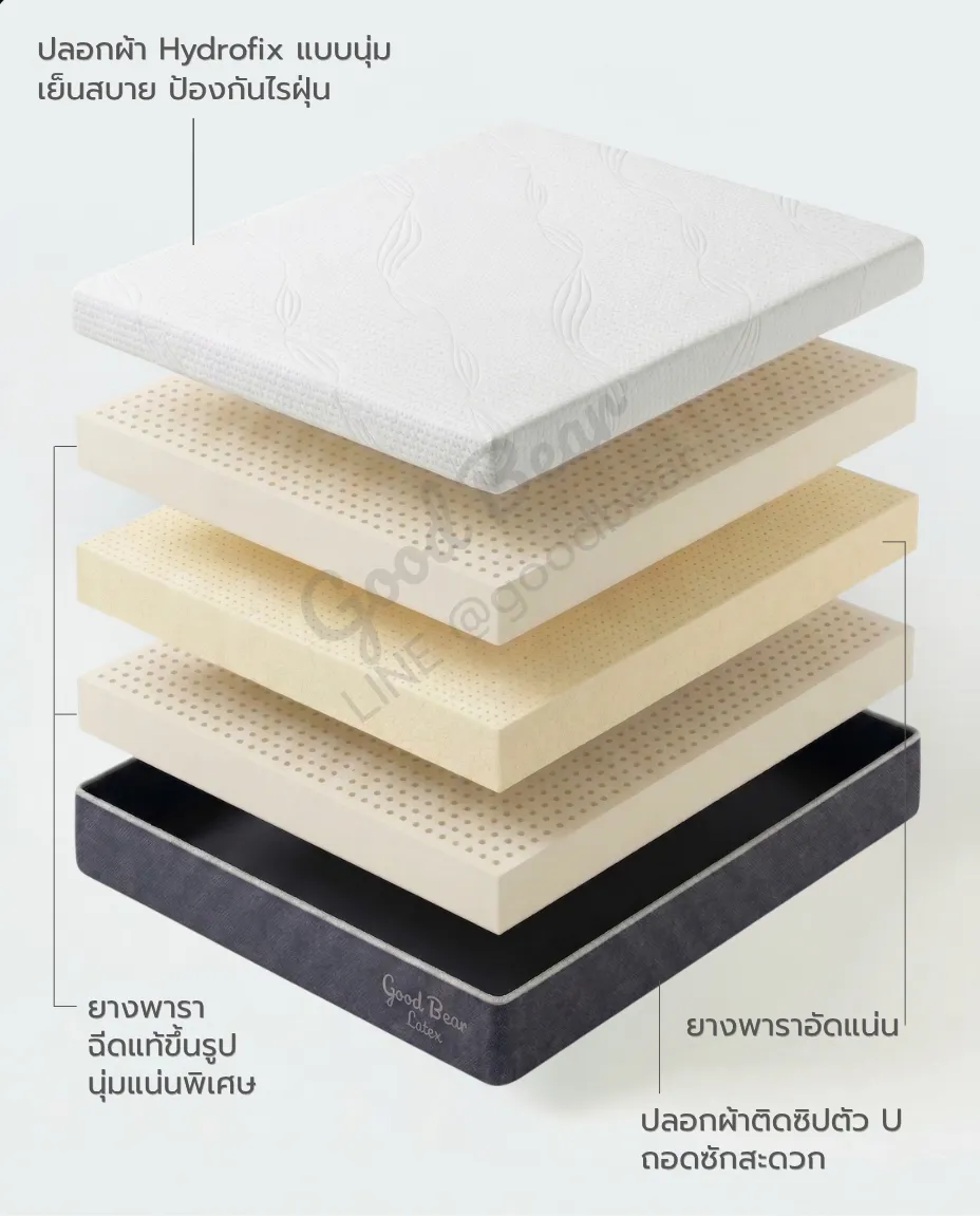 โครงสร้างที่นอน 2 ชั้น (Mobile)